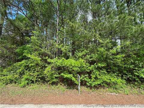 5673 Hancock Street, Hope Mills, NC 28348