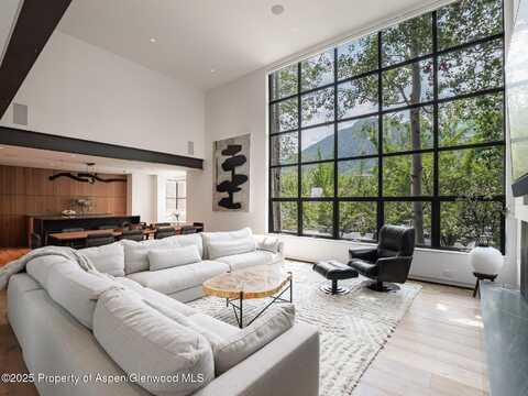 624 E Hopkins Avenue, Aspen, CO 81611