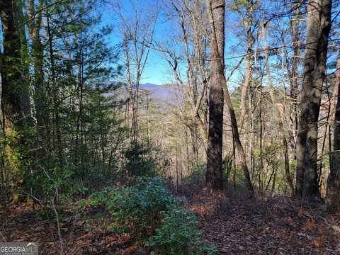 0 Shake Hollow, Rabun Gap, GA 30568