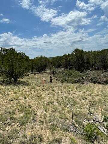 Lot 1 & 12 7th & 8th Street, Glen Rose, TX 76043