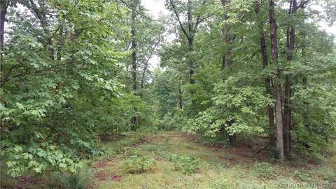 Tbd Antler Hill Road, Stover, MO 65078