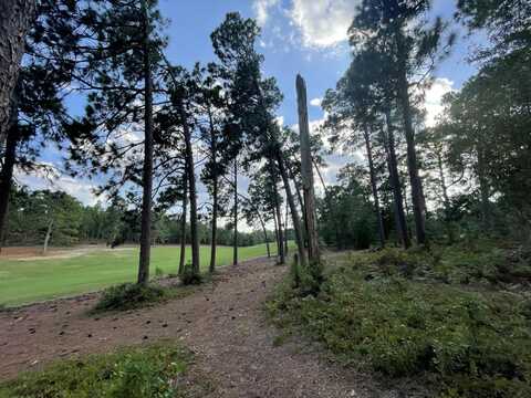 Lot-1 Birdie Place, Graniteville, SC 29829