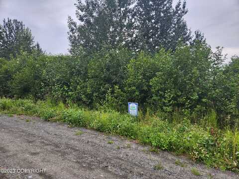 65251 Wagon Road, Nikolaevsk, AK 99556