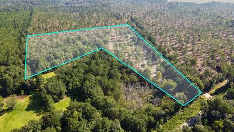 ( Lot 1) Bluffwood/Camp Rawls Road, Wagener, SC 29164