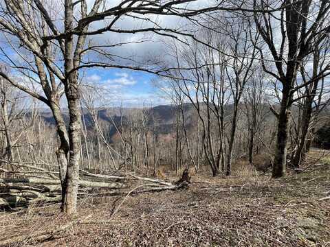 Lot #39 Ridge Top Circle, Clyde, NC 28721