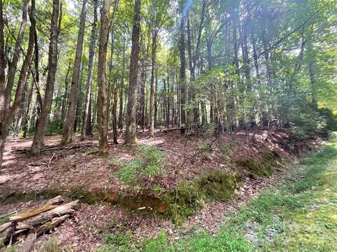 406 Tlvdatsi Drive, Brevard, NC 28712