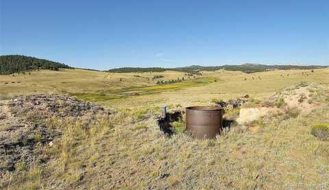 1245 Badger Creek Road, Hartsel, CO 80449