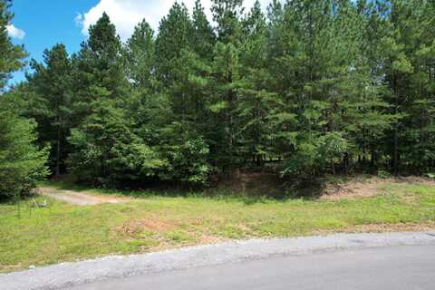 Crockett Point, Jasper, TN 37347