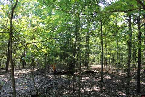 Lot 30 EAGLE RIDGE ROAD, Protem, MO 65733