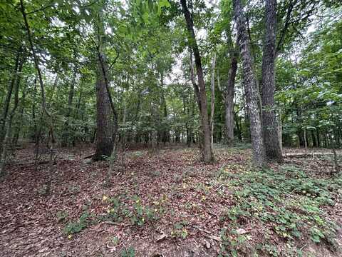 00 Pigeon Trail, Dawsonville, GA 30534