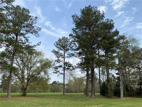 Lot 448 CHINAWOOD Drive, Abita Springs, LA 70420