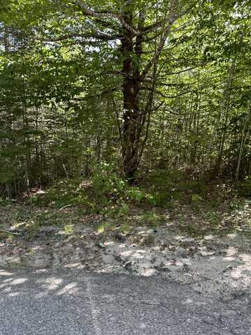 0 Tenan Lane, Cherryfield, ME 04622