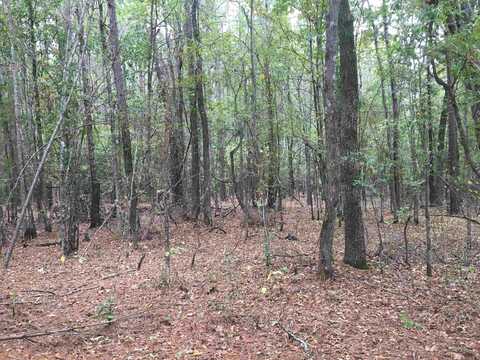 40 Acres Sulphur Springs Rd, Pine Bluff, AR 71603