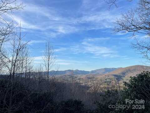 238 Grandiflora Path, Asheville, NC 28803