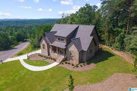 7631 ROPER TUNNEL ROAD, TRUSSVILLE, AL 35173