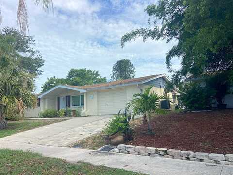 Riddle, HOLIDAY, FL 34690