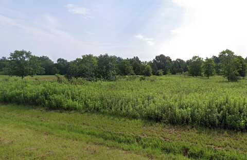 Lot 8 Brady Rd., Leslie, GA 31764