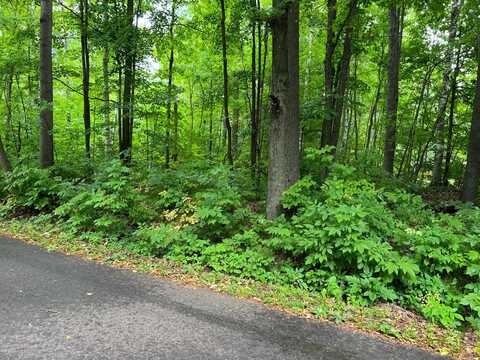 Lot 7 MILL RD, Elcho, WI 54485