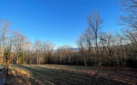 17+ac Matheson Cove Road, Hayesville, NC 28904