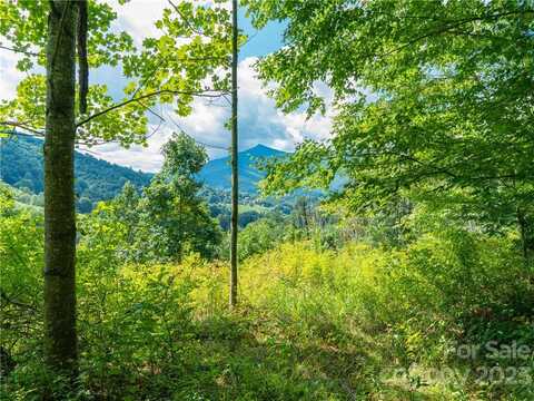 Lot 7 Locust Rough Mountain Road, Burnsville, NC 28714