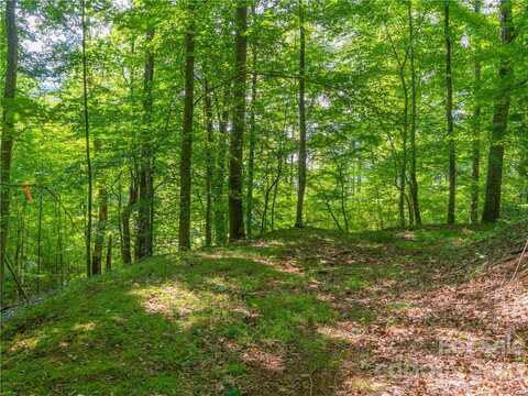 Lot 8 Locust Rough Mountain Road, Burnsville, NC 28714