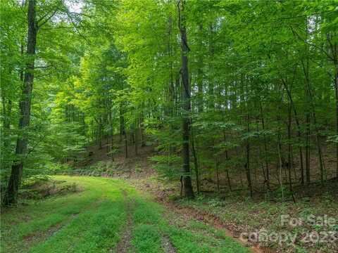 Lot 11 Locust Rough Mountain Road, Burnsville, NC 28714