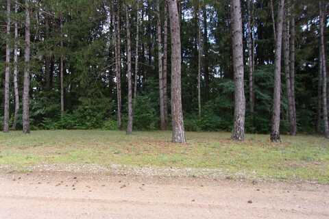 495 Evergreen, Farwell, MI 48622