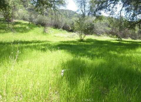 0 0 Vineyard Canyon Parcel 29, San Miguel, CA 93451