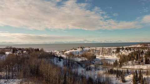 L1 Tovarish Road, Ninilchik, AK 99639