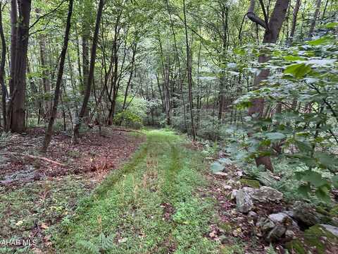 Lot #1b Louks Road, Bedford, PA 15522