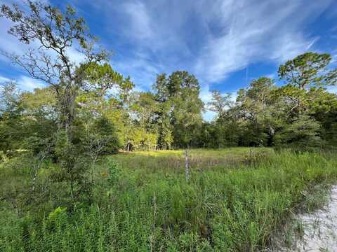 Lot 1 20th Ave, Bell, FL 32619