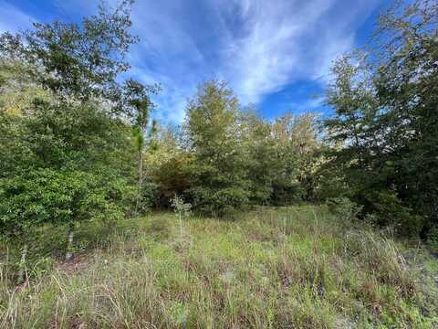 LOT 2 20th Ave, Bell, FL 32619