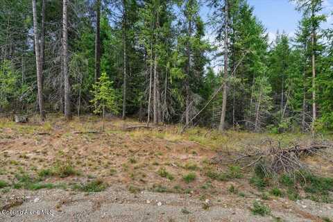 Lot 4 Blk2 Songbird Way, Spirit Lake, ID 83869