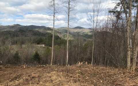 A Sweetwater Bend Drive, Hayesville, NC 28904