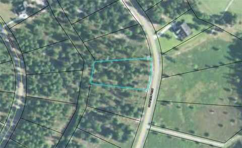 Lot 72 Coopers Point Drive NE, Townsend, GA 31331