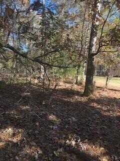 0000 SECTION G, Lincolnton, GA 30817