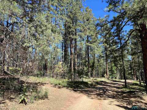 37 Don Jose Drive, Rociada, NM 87742