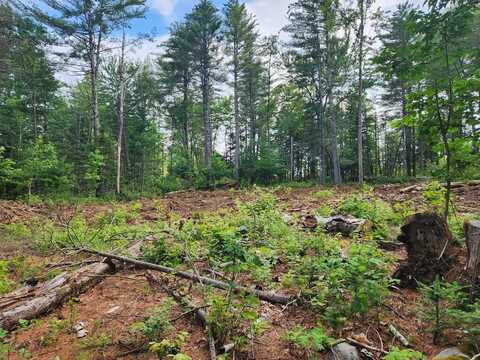 Lot 18&20 Carrabassett Road, New Portland, ME 04961