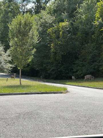 Lot 28 Cypress Cove, Eufaula, AL 36027