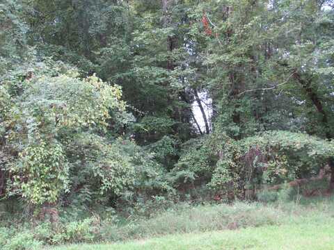 Lot 6 Edinborough Dr, Columbus, MS 39705