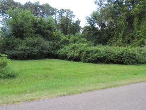 Lot 1, Edinborough Drive, Columbus, MS 39705