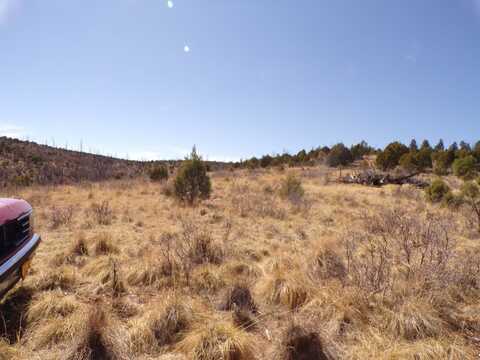 22 Three Mile Canyon Rd, Mayhill, NM 88339