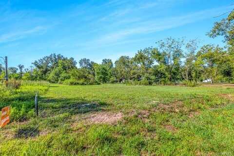 0 Davis Road Tract 2, Ragley, LA 70657