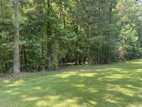 173 SANDPIPER, Counce, TN 38326