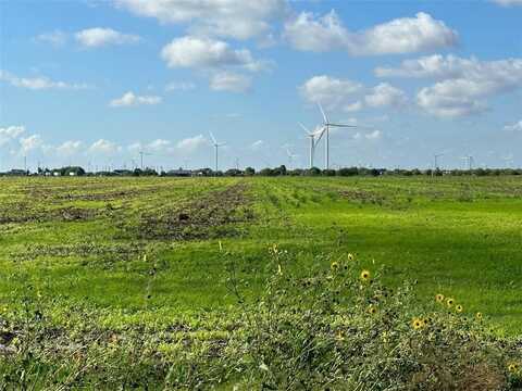 County Road 1064, Taft, TX 78390