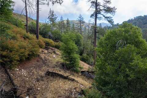 868 Big Tree Drive, Cedar Glen, CA 92321