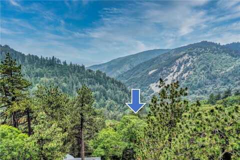 3 Lot 3 W Buckthorn Drive W, Cedarpines Park, CA 92322