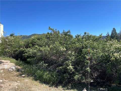 17 Lot 17 Lupin Way, Cedar Glen, CA 92321