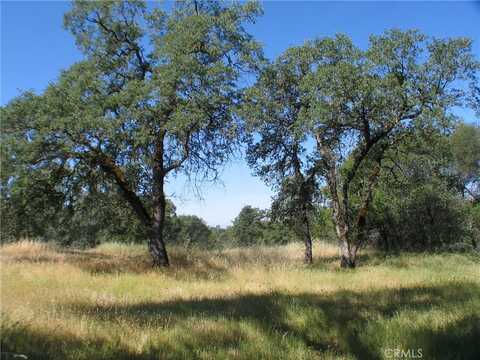 0 Ruggle Road, Oroville, CA 95966