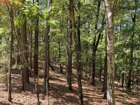 9 Hillside Trail, Mount Ida, AR 71957